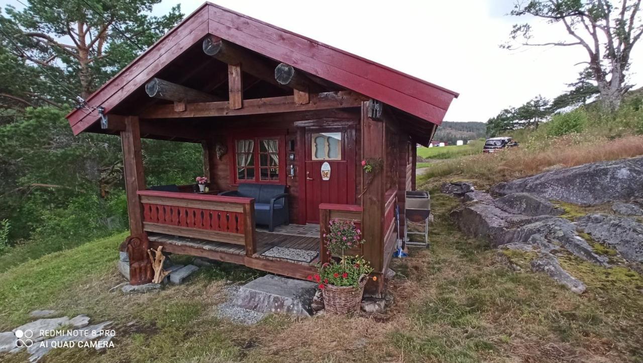 Vila Suigard Smia Sauland Exteriér fotografie